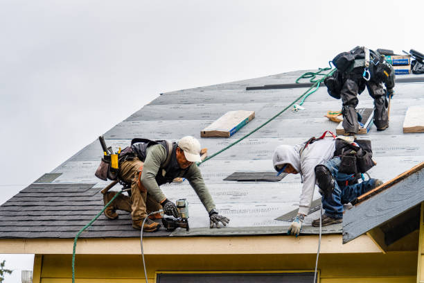 Professional Flat Roof Repair technician working in Newark, NY